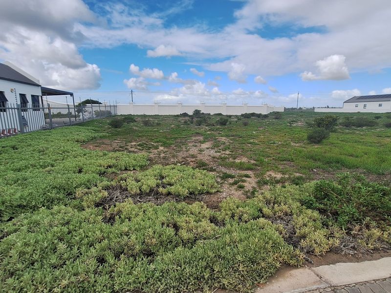 A vacant residential plot featuring natural ground cover, enclosed by a perimeter wall and metal fencing.
