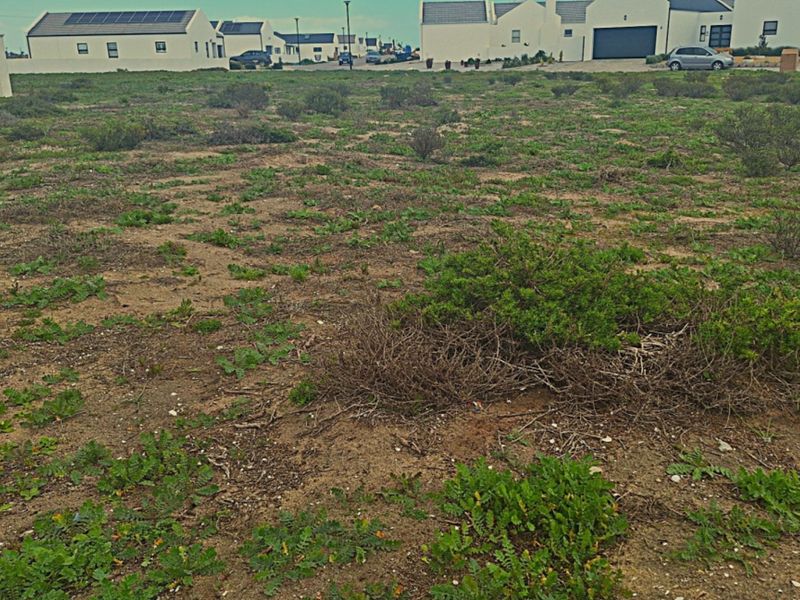 A vacant residential plot of land featuring natural vegetation, situated within a developed estate with surrounding residential properties.
