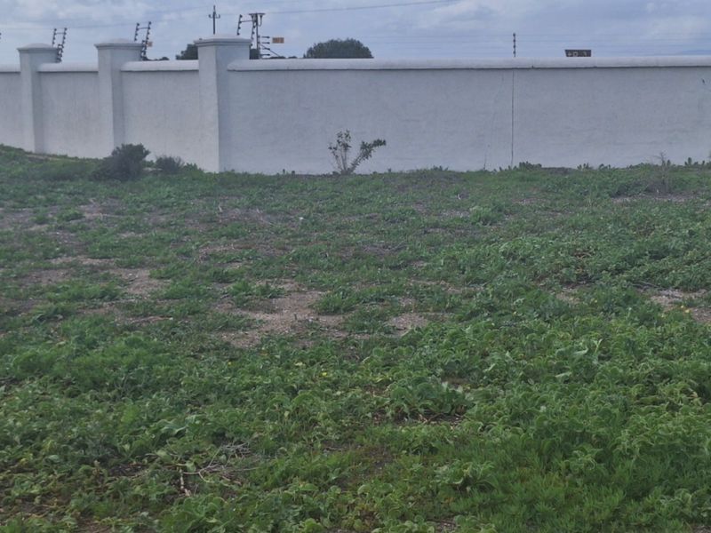 A vacant residential plot featuring a perimeter wall with integrated electric fencing, covered in natural ground cover and vegetation.