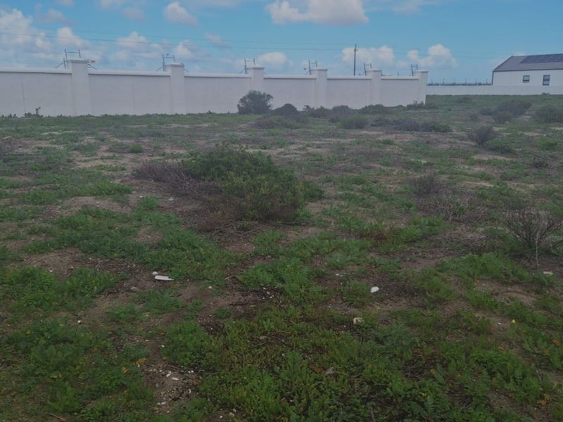 A vacant residential plot featuring natural vegetation, enclosed by a perimeter wall with integrated electric fencing.