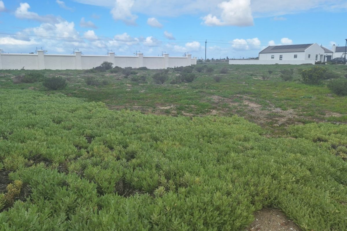 A vacant residential plot featuring natural vegetation and a perimeter boundary wall, offering a blank canvas for future development.