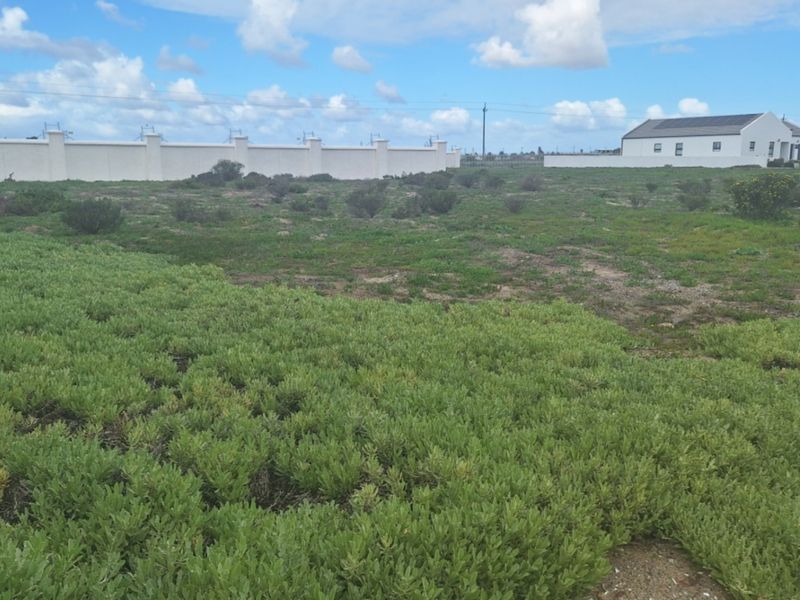 A vacant residential plot featuring natural vegetation and a perimeter boundary wall, offering a blank canvas for future development.