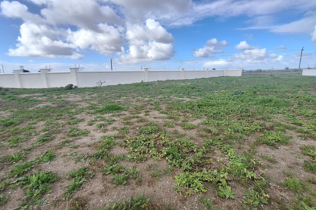 A vacant residential plot featuring a perimeter wall and security fencing, offering a clear space ready for development.