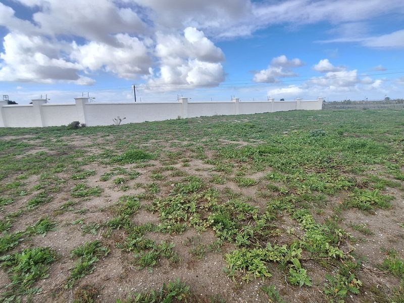 A vacant residential plot featuring a perimeter wall and security fencing, offering a clear space ready for development.