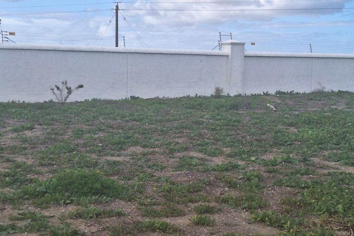 A vacant residential plot featuring a perimeter wall with installed electric fencing, providing a secure boundary for future development.