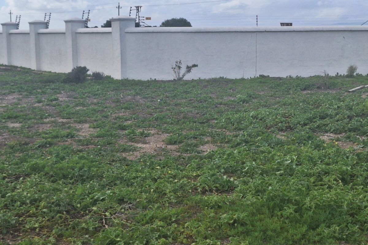 A vacant residential plot featuring a perimeter wall with integrated electric fencing, covered in natural ground cover and vegetation.