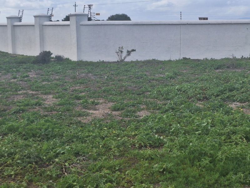 A vacant residential plot featuring a perimeter wall with integrated electric fencing, covered in natural ground cover and vegetation.