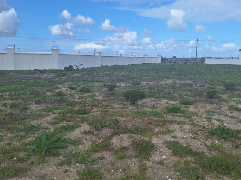 A vacant residential plot featuring a perimeter wall with electric fencing, offering a clear space ready for development.