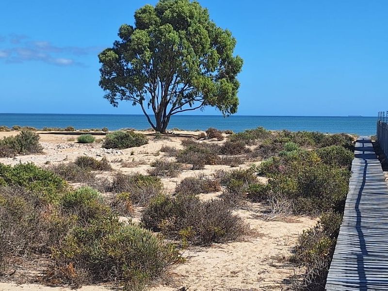 A scenic view of a coastal residential plot featuring a wooden boardwalk, perimeter fencing, and direct access to the oceanfront.