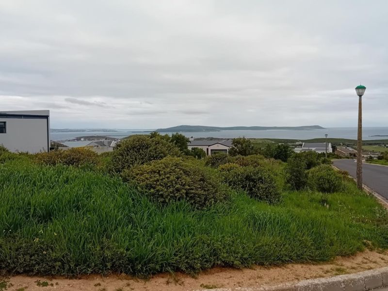 A scenic view overlooking the coastal landscape and surrounding residential area, featuring established vegetation and access to a paved street.
