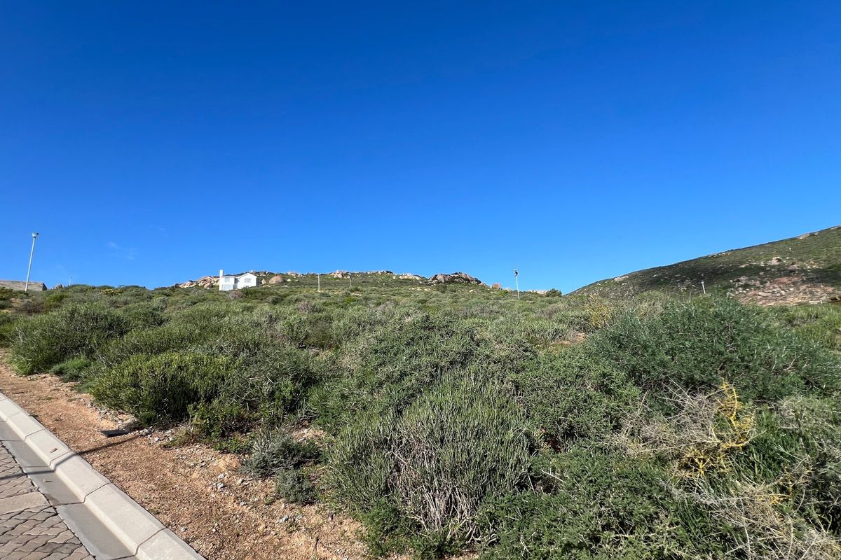 A view of the vacant residential land from the adjacent paved street, showing natural vegetation and sloping terrain.