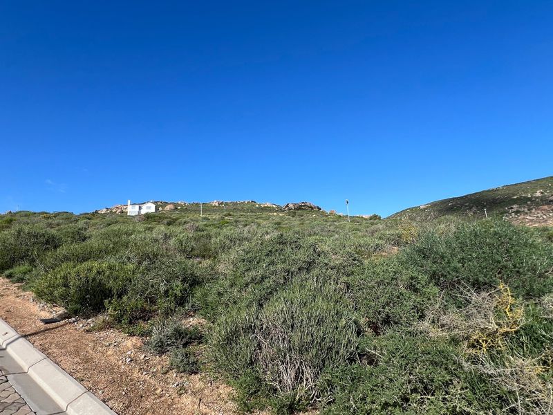 A view of the vacant residential land from the adjacent paved street, showing natural vegetation and sloping terrain.