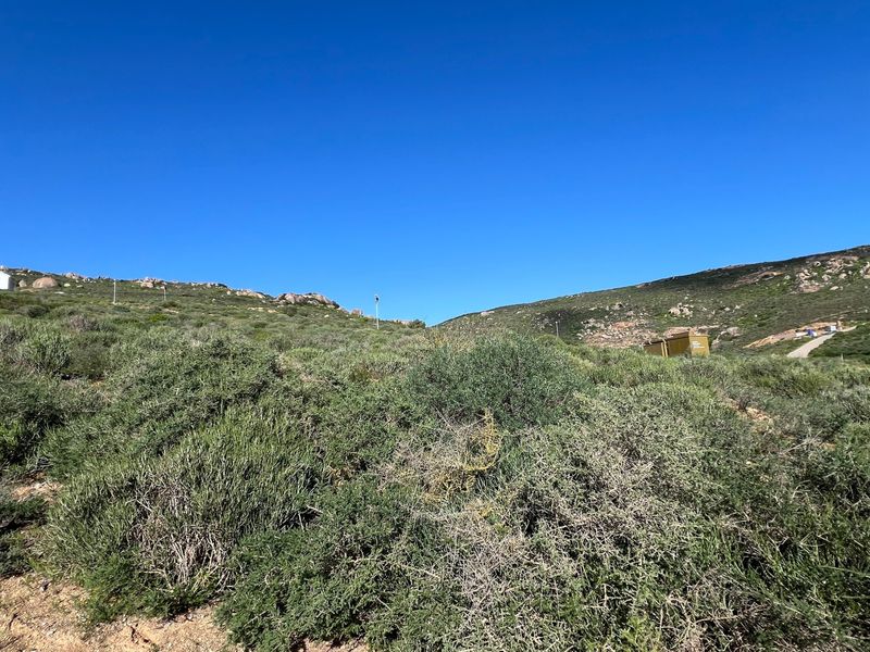 A view of a sloped, undeveloped residential plot covered in native coastal vegetation under a clear blue sky.