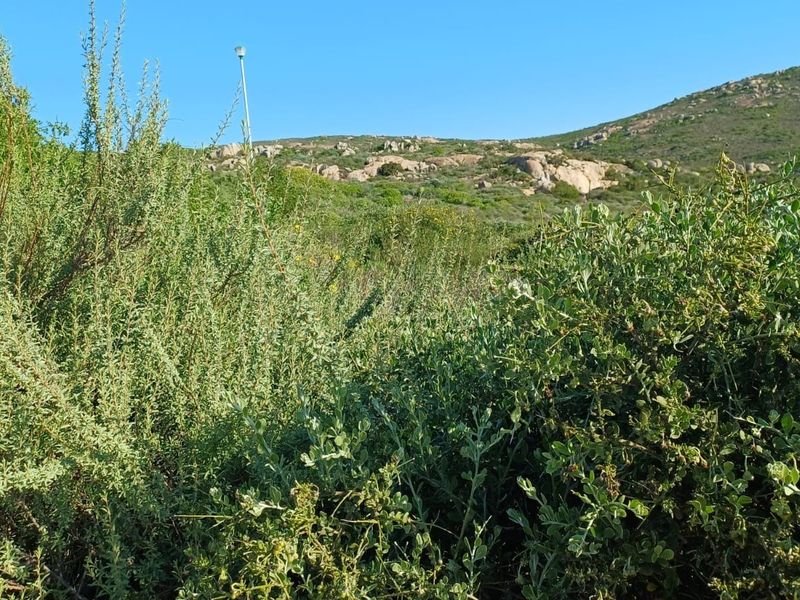 A view of the natural, undeveloped landscape featuring native vegetation and rocky terrain on this vacant residential plot.