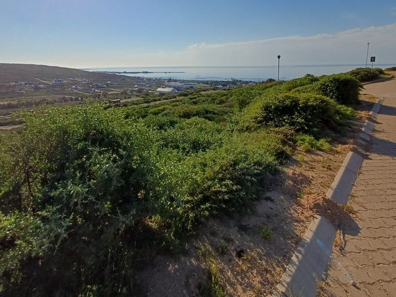 A scenic view overlooking the coastal landscape and ocean from a paved residential street.