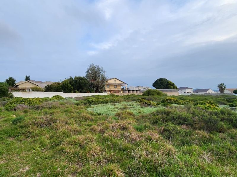 A view of a vacant residential plot featuring natural vegetation and a boundary wall, situated in a developed neighborhood.