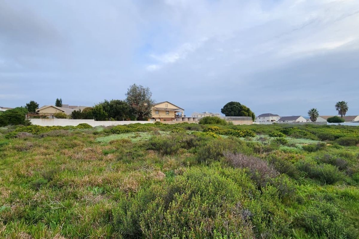 A view of a vacant residential plot featuring natural vegetation and a boundary wall, situated in an established residential neighborhood.