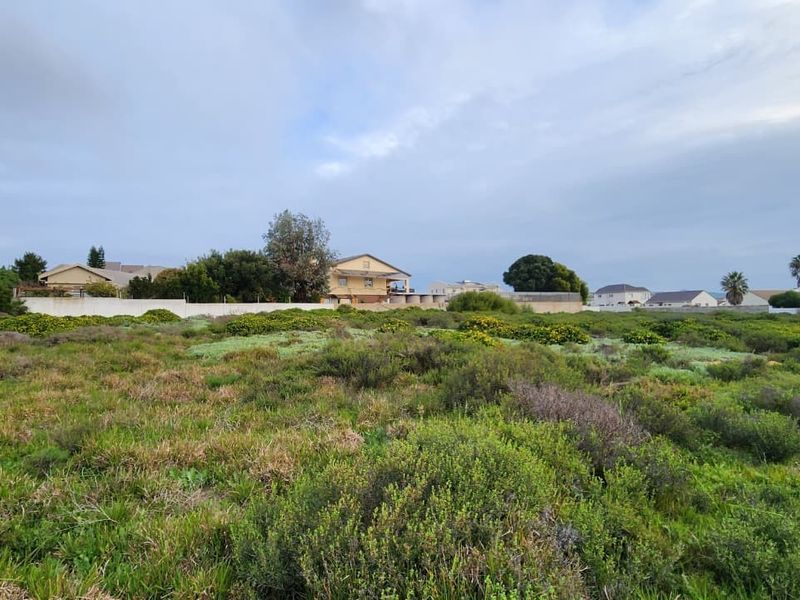 A view of a vacant residential plot featuring natural vegetation and a boundary wall, situated in an established residential neighborhood.