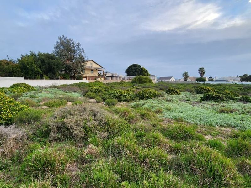 A vacant residential plot featuring natural vegetation and a perimeter boundary wall, situated in an established neighborhood.