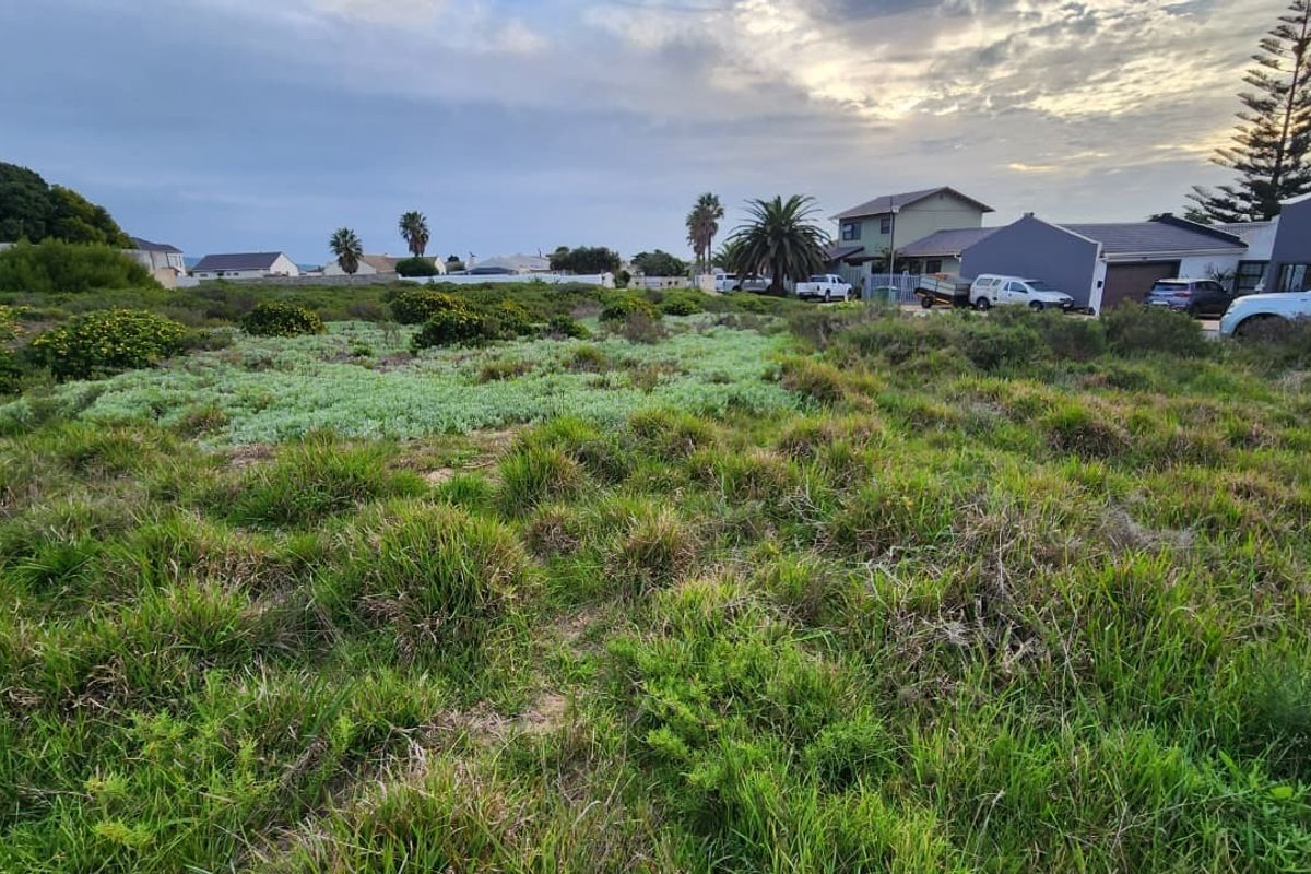 A view of a vacant residential plot covered in natural vegetation, situated in a developed neighborhood.