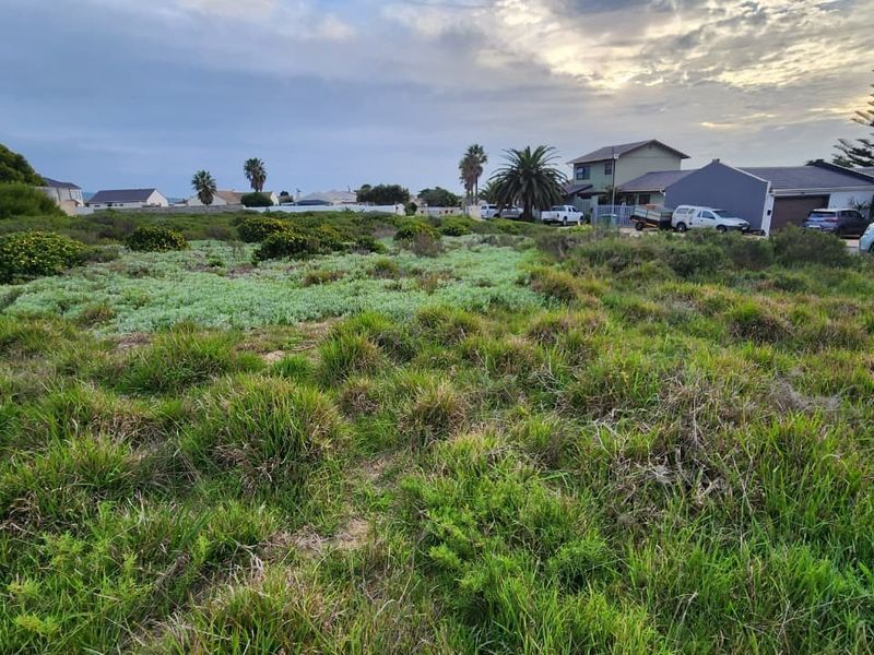 A view of a vacant residential plot covered in natural vegetation, situated in a developed neighborhood.
