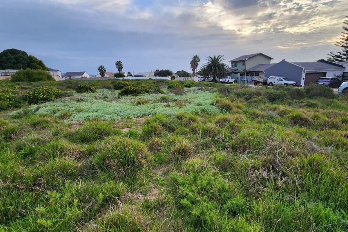 A view of a vacant residential plot covered in natural vegetation, situated in a developed neighborhood.