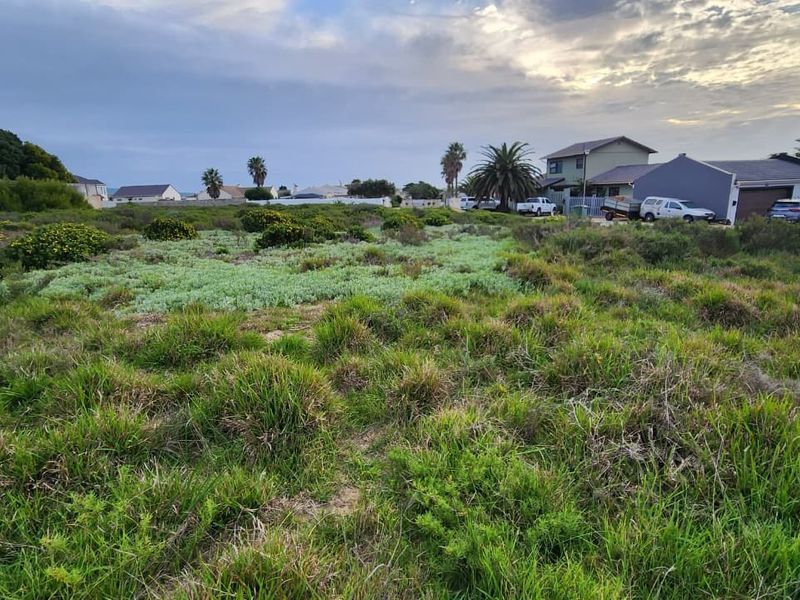 A view of a vacant residential plot covered in natural vegetation, situated in a developed neighborhood.