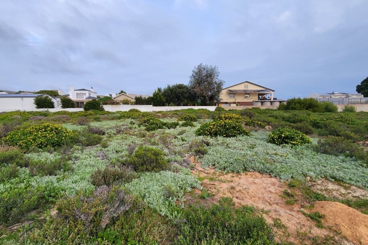 A vacant residential plot featuring natural coastal vegetation and perimeter boundary walls, offering a blank canvas for future development.