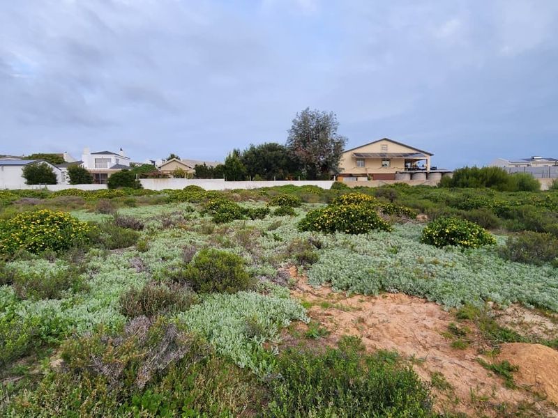 A vacant residential plot featuring natural coastal vegetation and perimeter boundary walls, offering a blank canvas for future development.