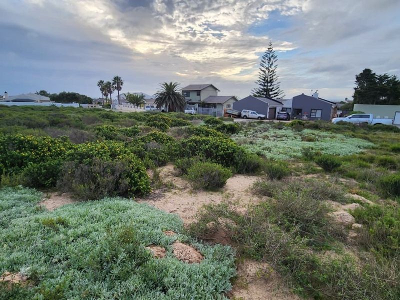 A view of a vacant residential plot featuring native coastal vegetation and sandy terrain, situated in an established neighborhood.
