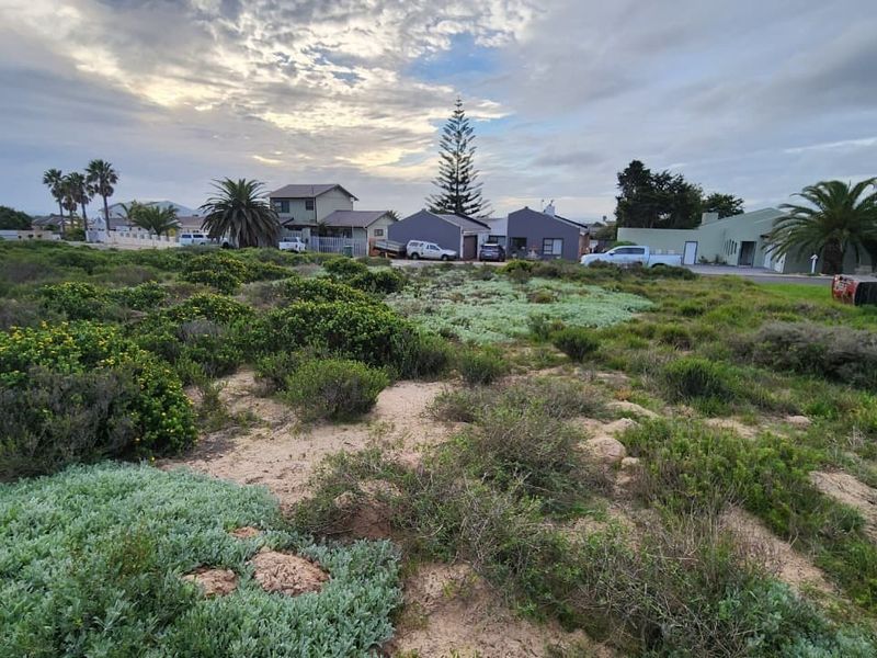 A view of a vacant residential plot featuring natural coastal vegetation, situated in an established neighborhood setting.