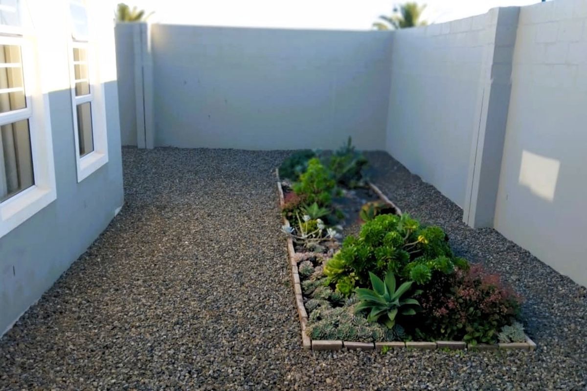 A low-maintenance rear courtyard featuring a gravel surface, a central raised garden bed with succulents, and enclosed by a solid perimeter boundary wall.