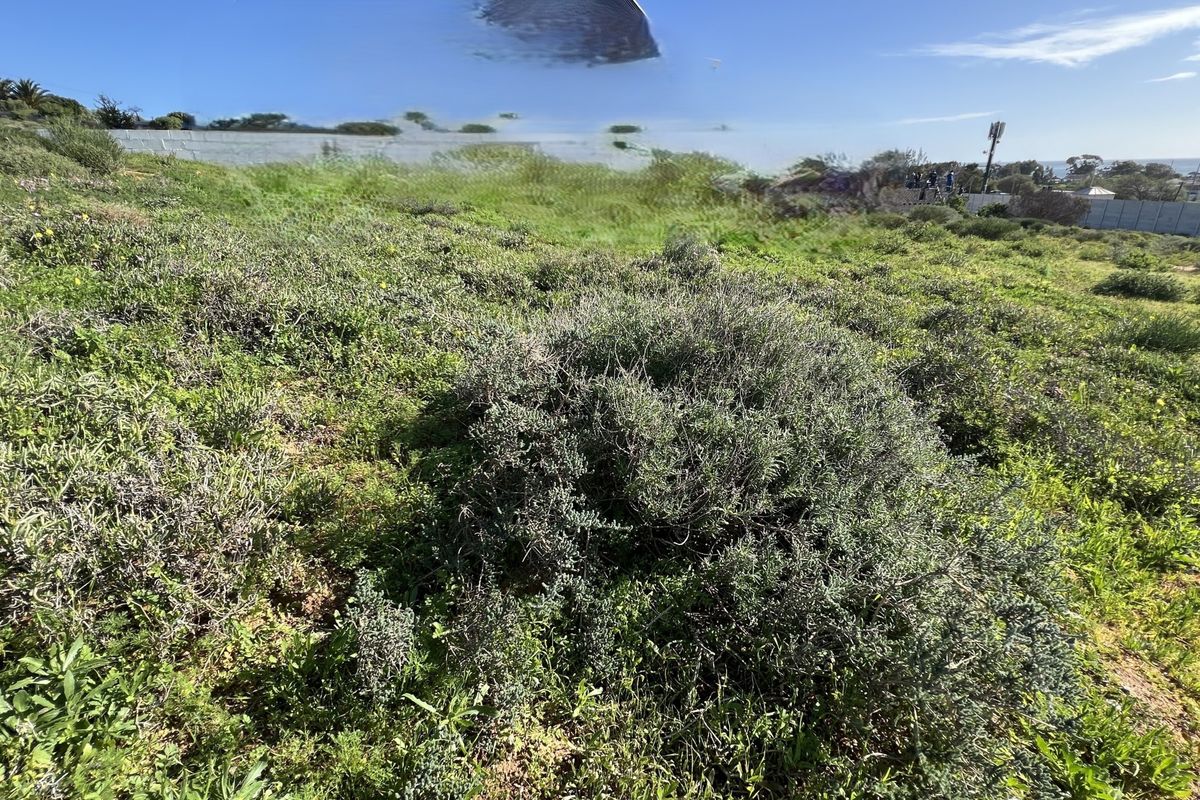 A view of the vacant residential land featuring natural coastal vegetation and a gentle slope.
