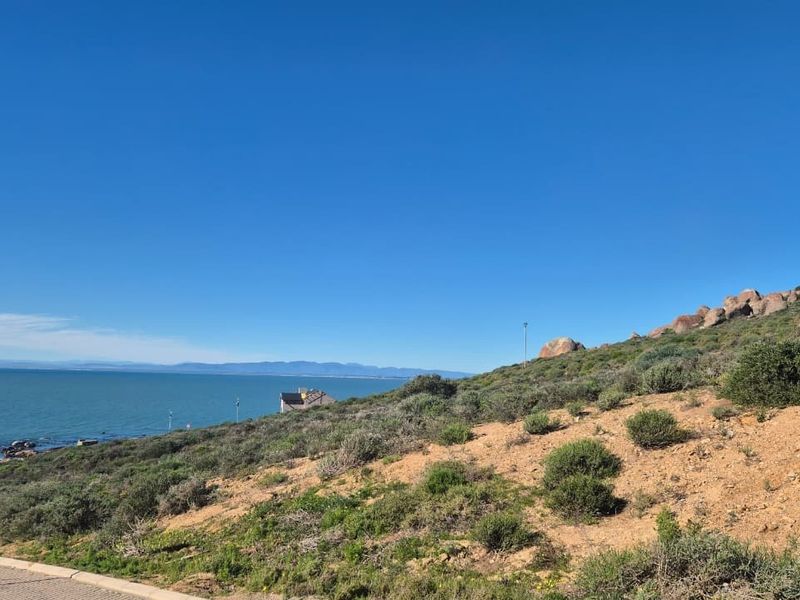 A scenic view of the coastal landscape featuring natural vegetation, rock formations, and an expansive ocean horizon.