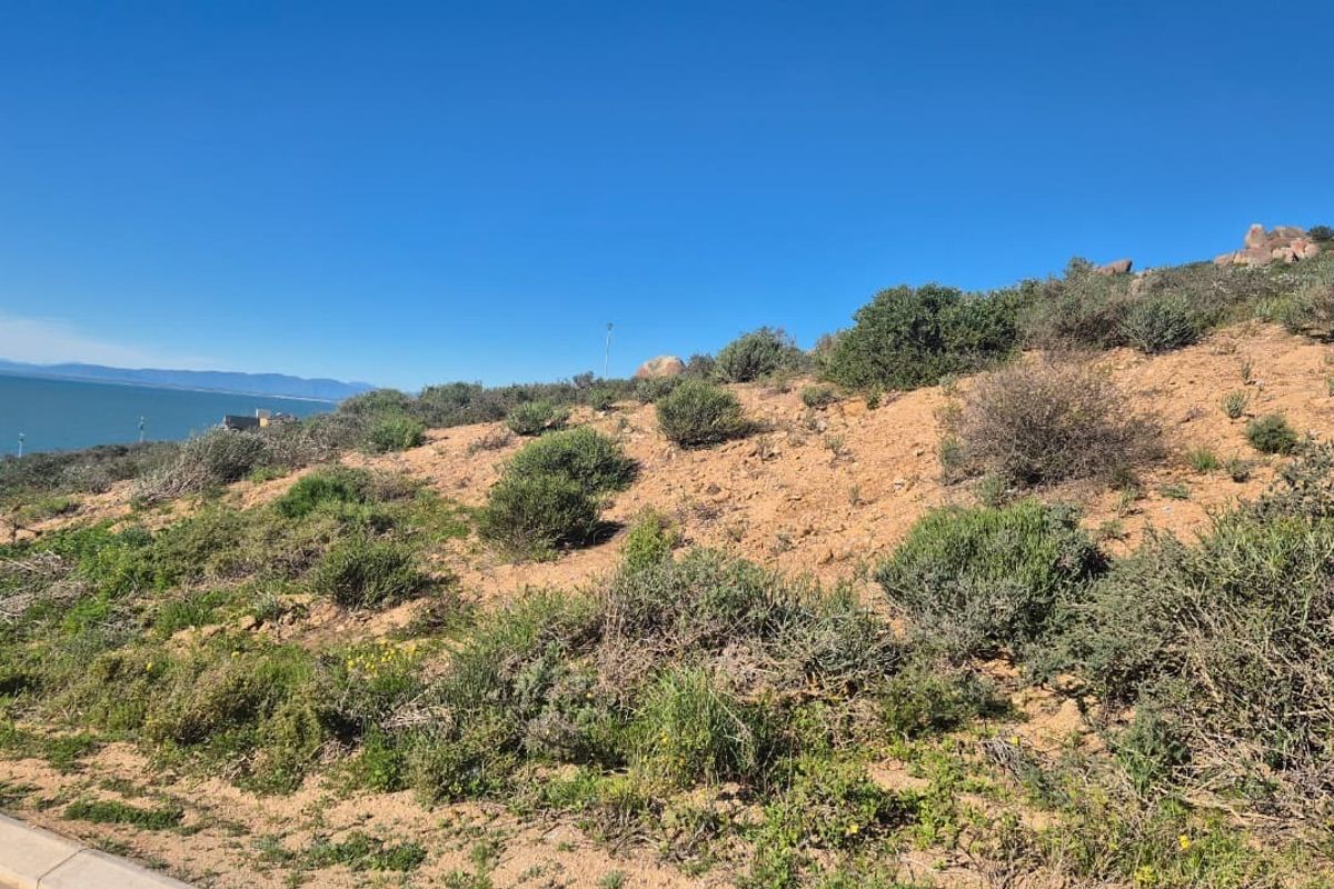 A view of a sloped, undeveloped residential plot featuring natural coastal vegetation and distant ocean vistas.