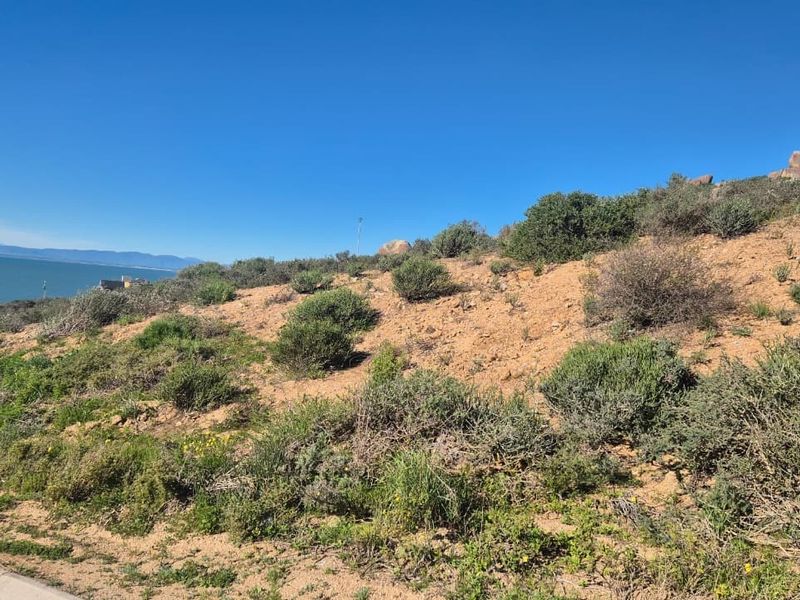 A view of a sloped, undeveloped residential plot featuring natural coastal vegetation and distant ocean vistas.