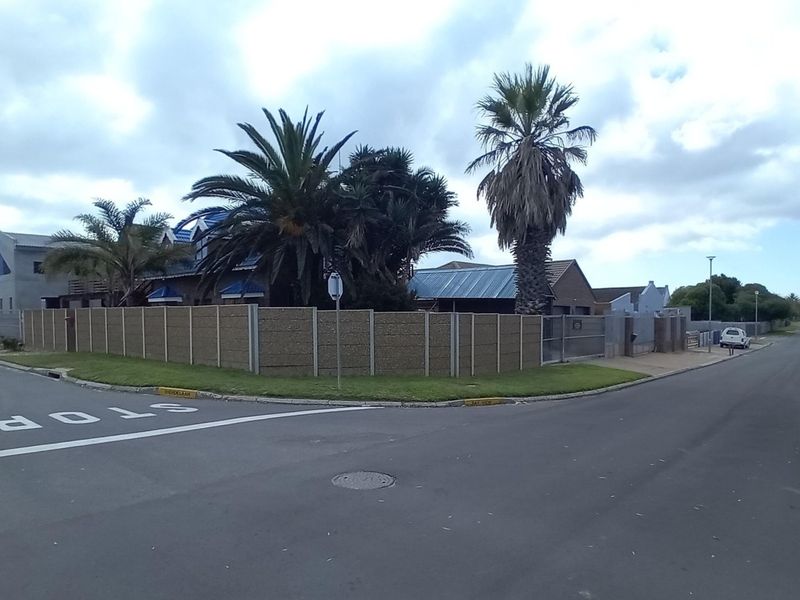 A street-level view of the property corner, featuring a precast concrete boundary wall, mature palm trees, and access to the driveway.