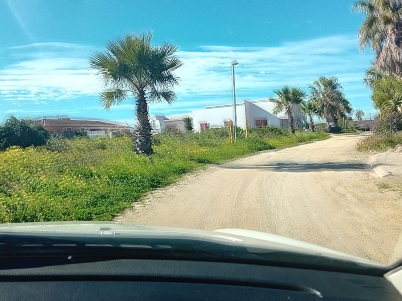 A view of an unpaved residential street approach with surrounding vegetation and palm trees, captured from inside a vehicle.
