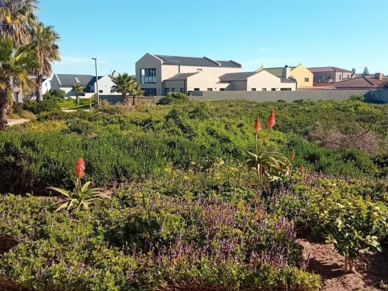 A view of a well-established garden area with native vegetation and a boundary wall, set within a residential neighbourhood.