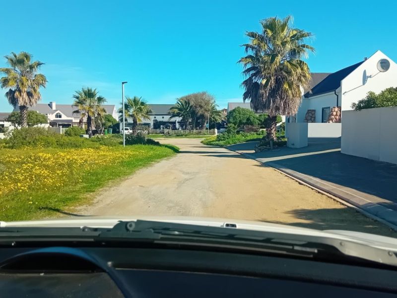 A view from a vehicle looking down a residential street with surrounding houses, landscaped gardens, and palm trees.