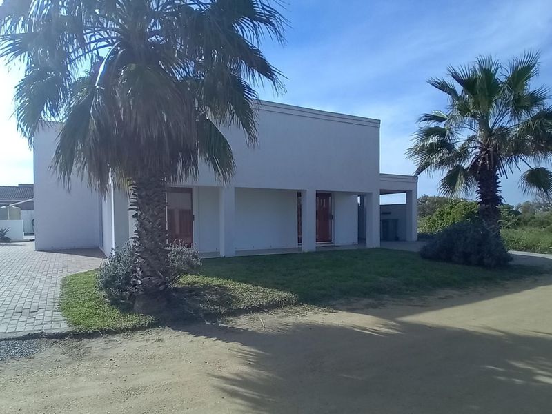Front view of a modern house featuring a paved driveway, covered entrance, and established palm trees in the front garden.