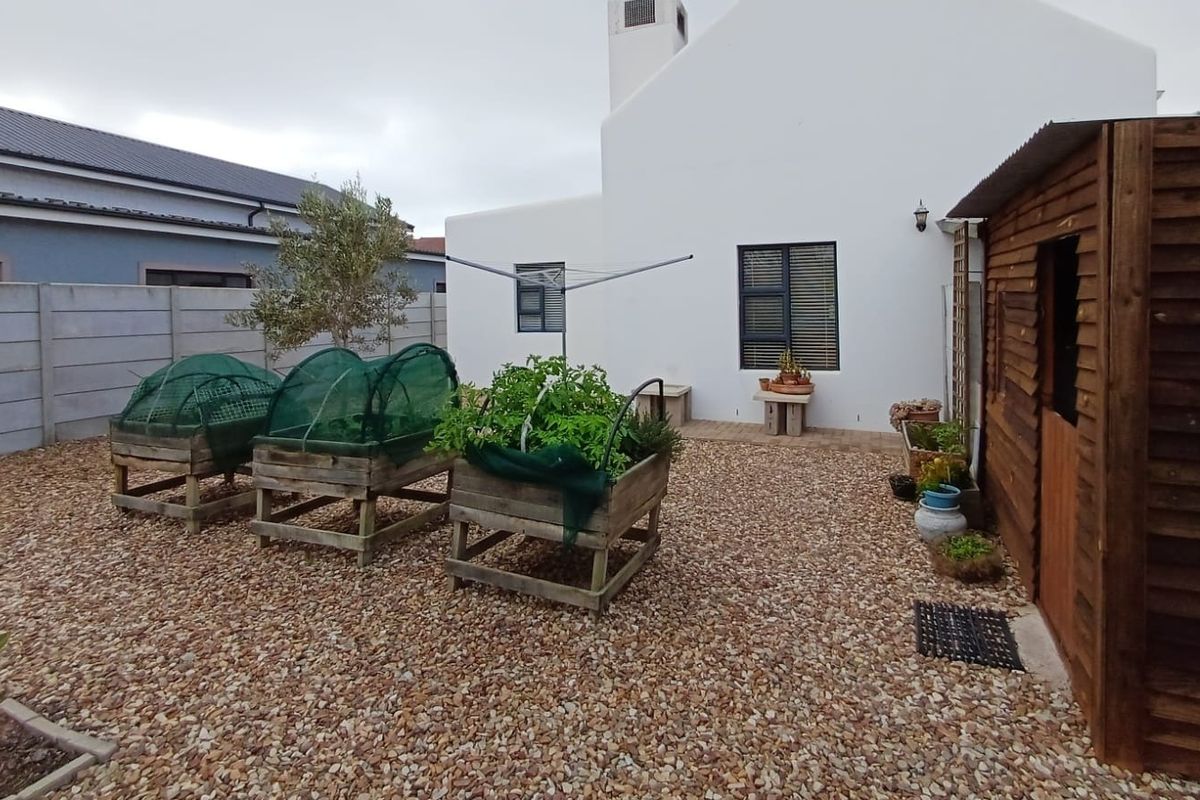 A low-maintenance rear garden featuring gravel landscaping, a timber storage shed, and a clean white exterior facade with a chimney.