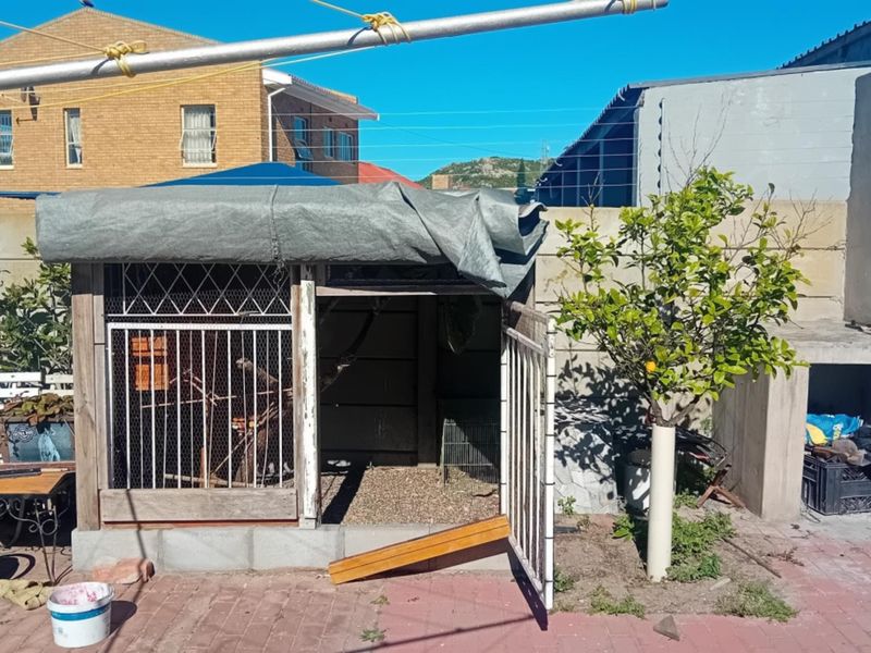 Rear outdoor area featuring a built-in braai, paved flooring, and a boundary wall, with an existing timber structure requiring maintenance.