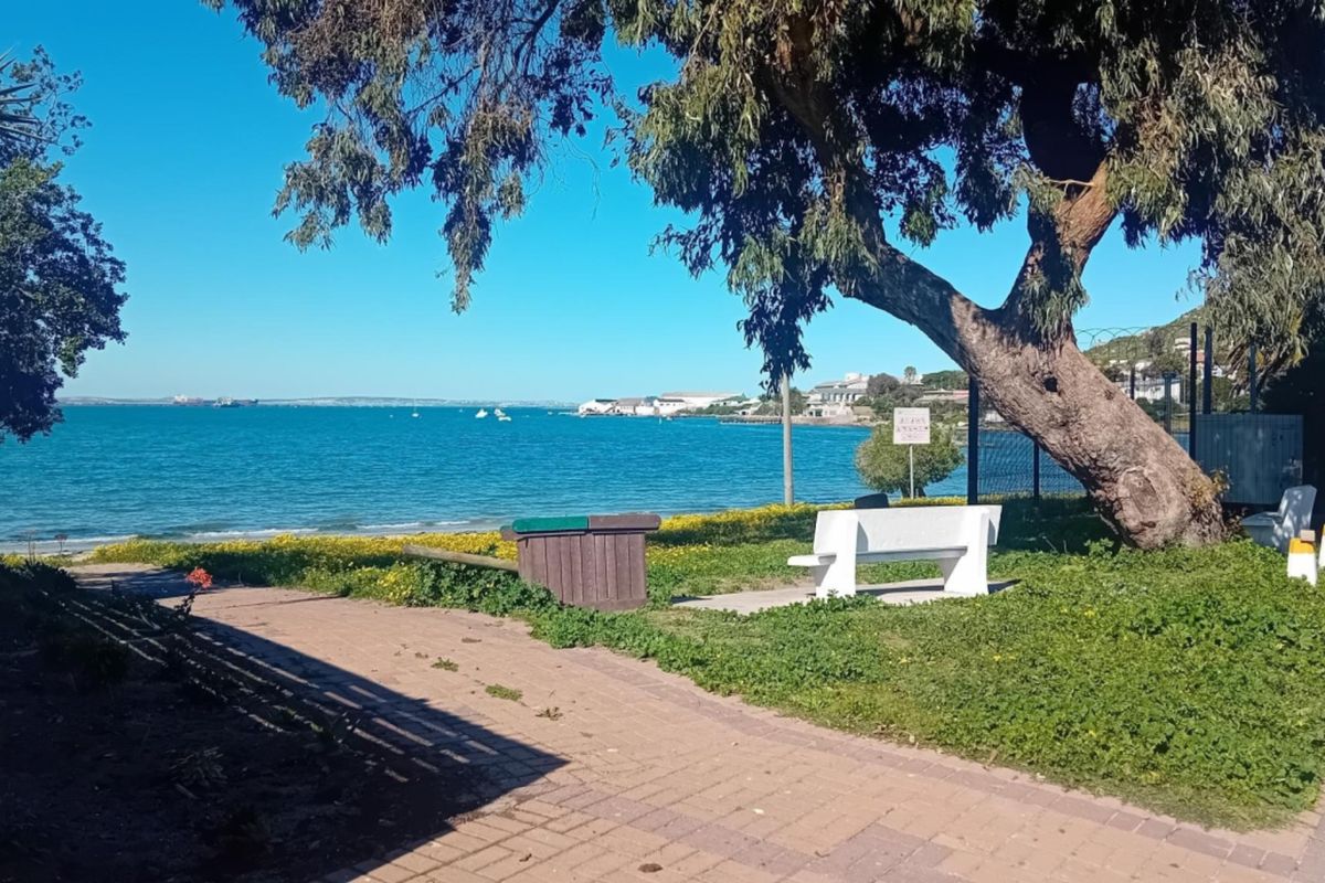 A scenic coastal view featuring a paved walkway, mature trees, and a clear outlook over the ocean.