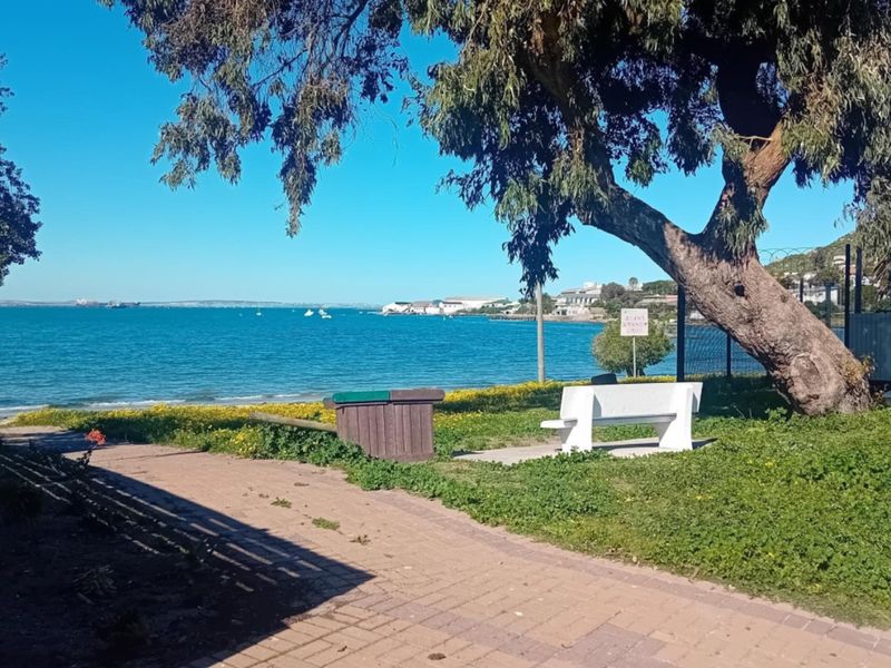 A scenic coastal view featuring a paved walkway, mature trees, and a clear outlook over the ocean.