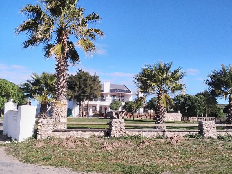 Front view of the small holding property featuring a stone boundary wall, mature palm trees, and a multi-story dwelling with solar panels.