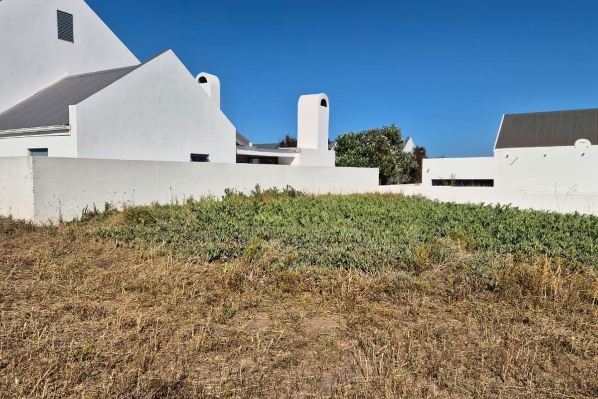 Rear view of the property showing white exterior walls, chimney stacks, and an unlandscaped garden area with natural vegetation.