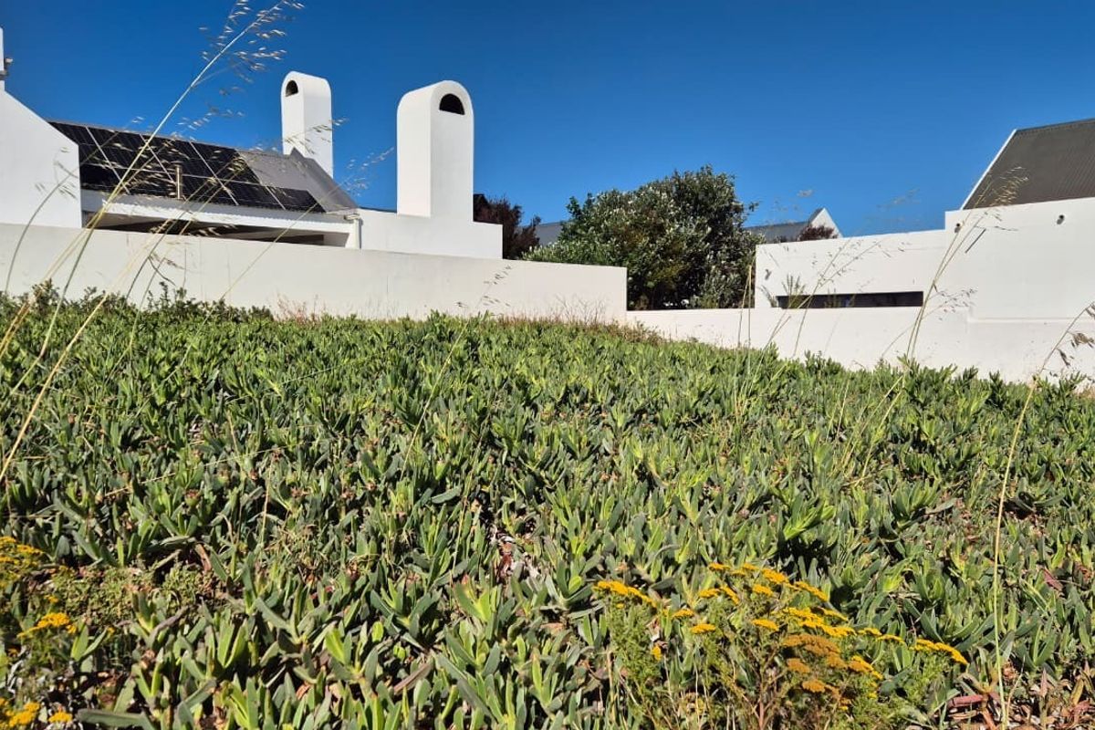 Rear view of the property featuring white exterior walls, prominent chimneys, and a landscaped garden area with ground cover plants.