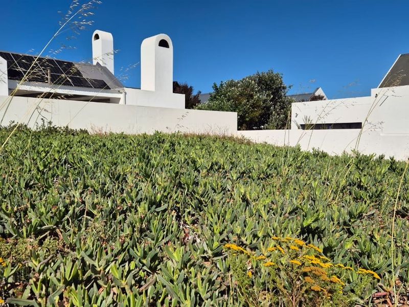 Rear view of the property featuring white exterior walls, prominent chimneys, and a landscaped garden area with ground cover plants.