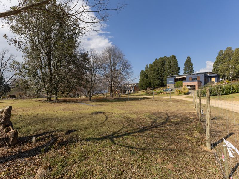 A view of a spacious residential plot featuring mature trees, wire fencing, and a gravel driveway leading toward a modern dwelling.